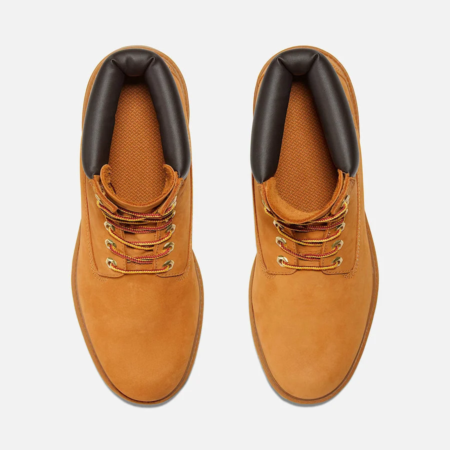 Sterling 6" WP Boot